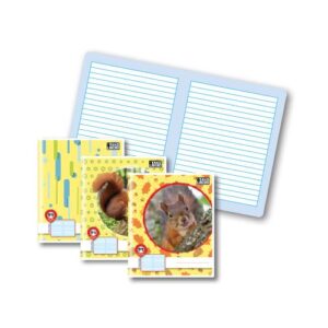 ZVEZEK B5 MP TAKO LAHKO ČRTNI P7 ČRTE 11MM