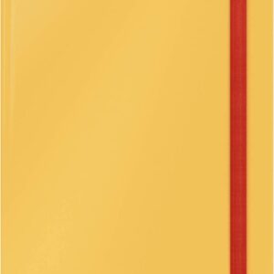 ZVEZEK B5 TP ČRTAN 80L Z ELASTIKO SIV LEITZ COSY 44830089