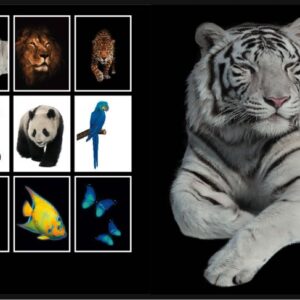 ZVEZEK A5 MP ČRTAN STREET FRESH FRUIT 54-listni